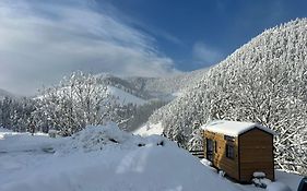 Petit chalet Cosy